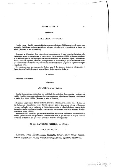 Texto — Ramón de la Sagra