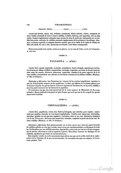 Foraminiferas Faujasina Chrysalidina — Ramón de la Sagra