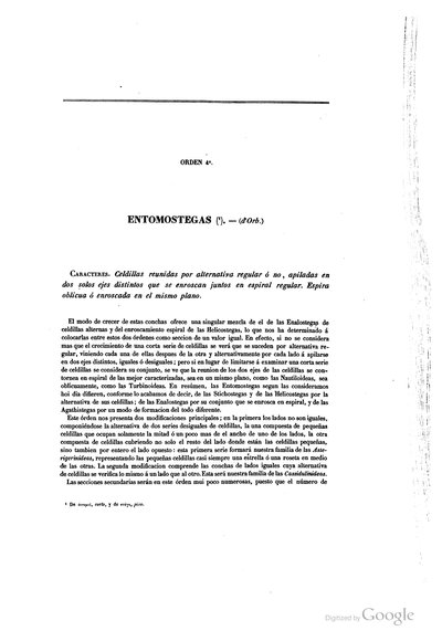 Texto — Ramón de la Sagra
