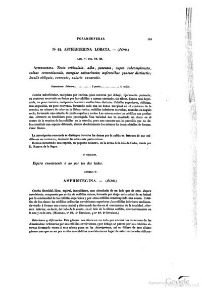 Texto