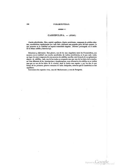 Texto