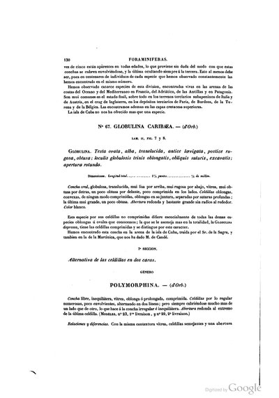 Texto — Ramón de la Sagra