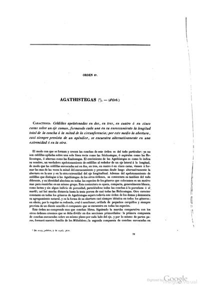 Texto
