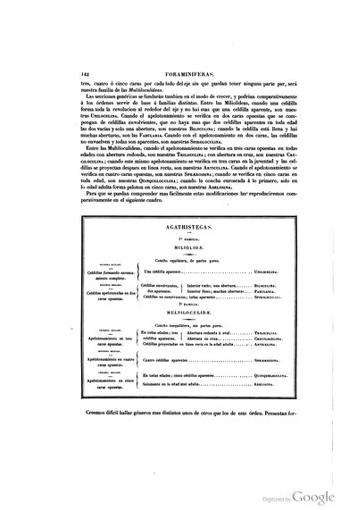 Texto — Ramón de la Sagra