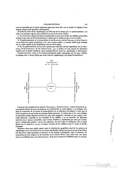 Diagrama de Foraminíferas — Ramón de la Sagra