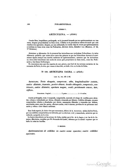 Texto