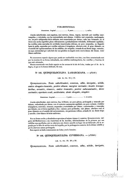 Texto — Ramón de la Sagra