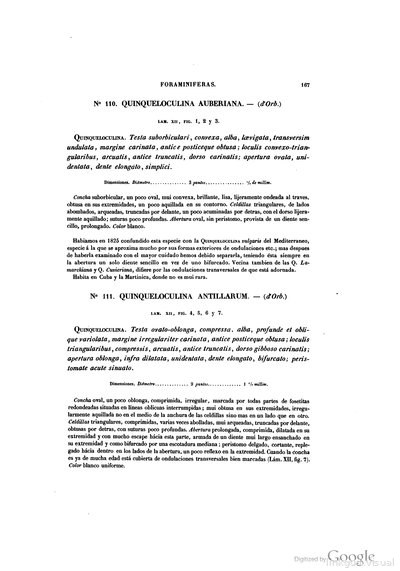 Texto — Ramón de la Sagra