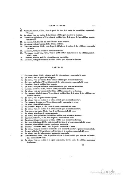 Texto — Ramón de la Sagra