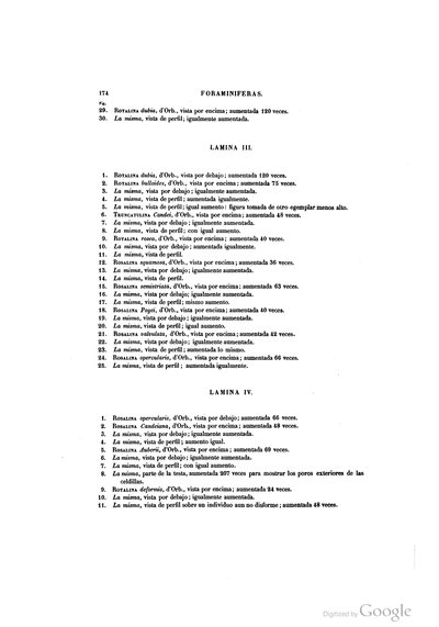 Texto — Ramón de la Sagra