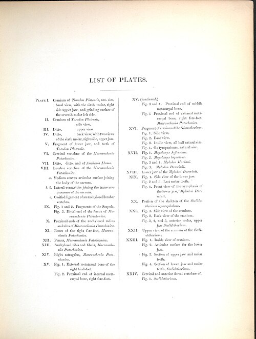 The zoology of the voyage of H.M.S. Beagle (List of Plates, Page III) BHL40299475 — Richard Owen