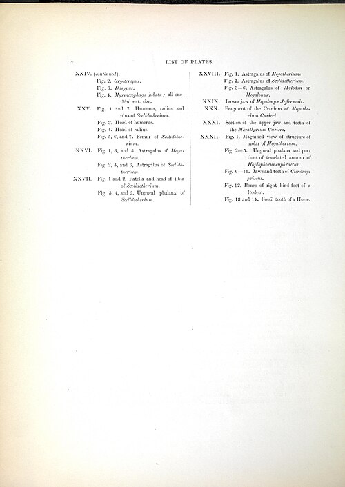 The zoology of the voyage of H.M.S. Beagle (Page IV) BHL40299476 — Richard Owen