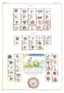 D.durán p587, nº 1867 — Anónimo tlacuilo mexica