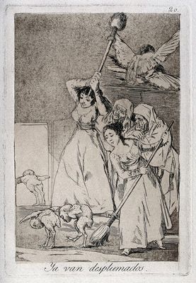 Ya van desplumados — Francisco de Goya