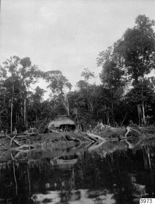 Una choza en la ribera del río — Anónimo