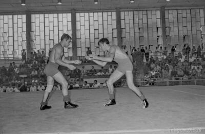 Campeonatos de España de lucha greco-romana