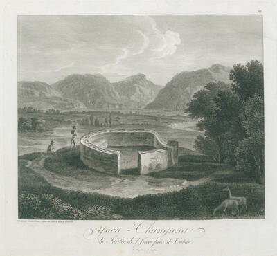 Ynca-Chungana du Jardin de L 'Inca — Alexander von Humboldt