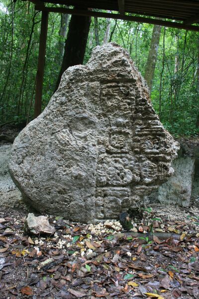 Uxul, Stela (UXL: St. 10) — No identificado