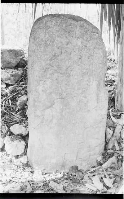 Coba, Stela (COB: St. 21) — No identificado
