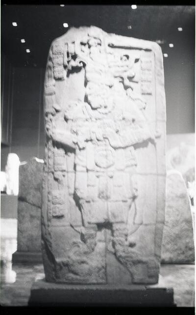 Calakmul, Stela (CLK: St. 51) — No identificado
