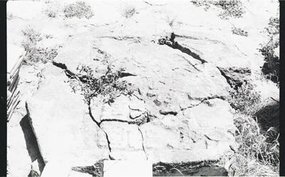 Edzna, Stela (ETZ: St. 5) — No identificado