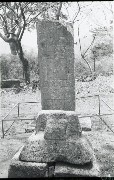 Copan, Stela J (CPN: St. J) — No identificado