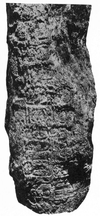 Uaxactun, Stela (UAX: St. 5) — No identificado