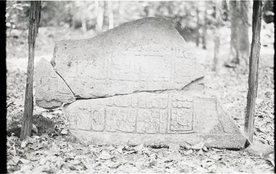 Yaxchilan, Stela (YAX: St. 33) — No identificado