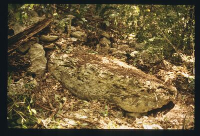 Altamira, Stela (ALM: St. 1) — No identificado