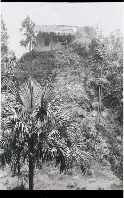 Yaxha, Structure (YXH: Str. 216) — No identificado