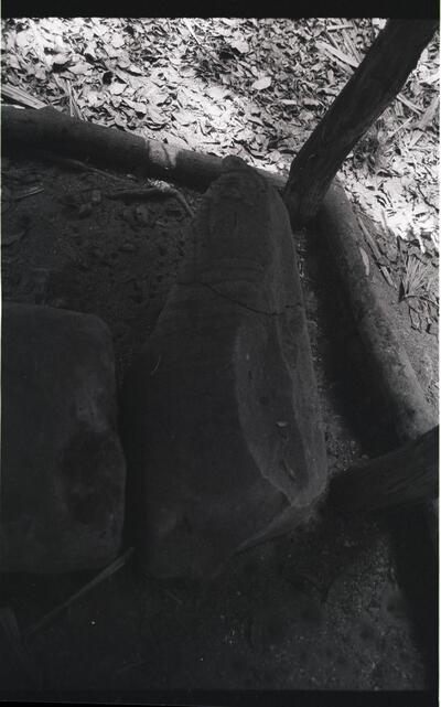 Yaxha, Stela (YXH: St. 7) — No identificado