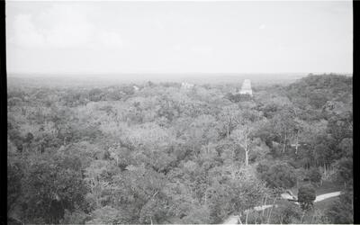 Tikal (TIK) — No identificado