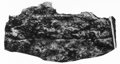 Yaxha, Stela (YXH: St. 3) — No identificado