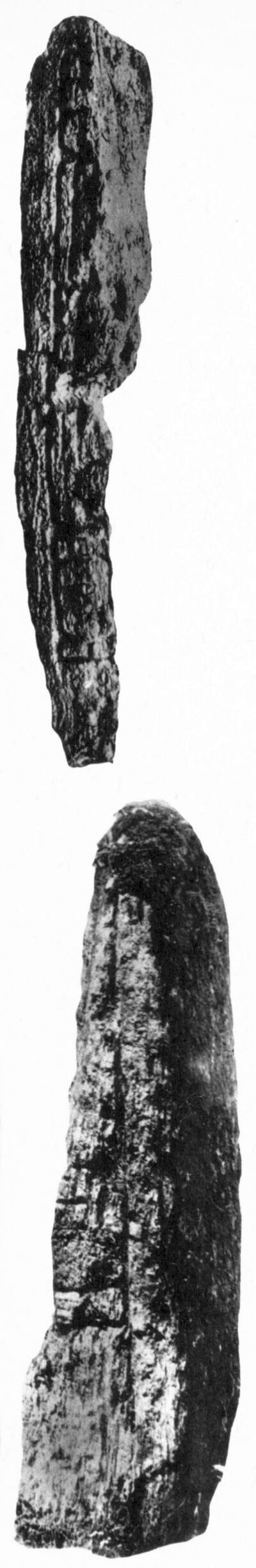Xultun, Stela (XUL: St. 3) — No identificado