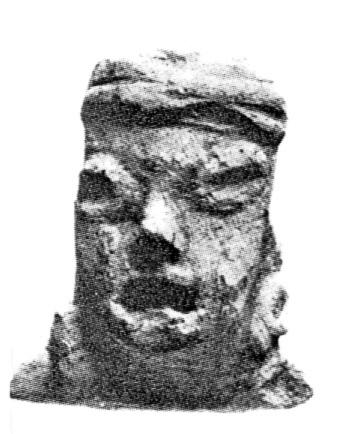 Cabeza — No identificado