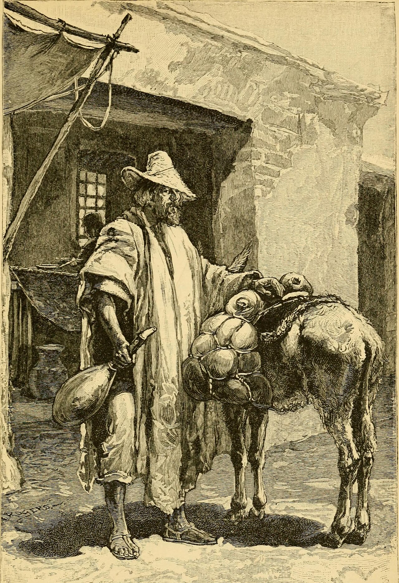 Old Mexico and her lost provinces; a journey in Mexico, southern California, and Arizona, by way of — William Allen Rogers