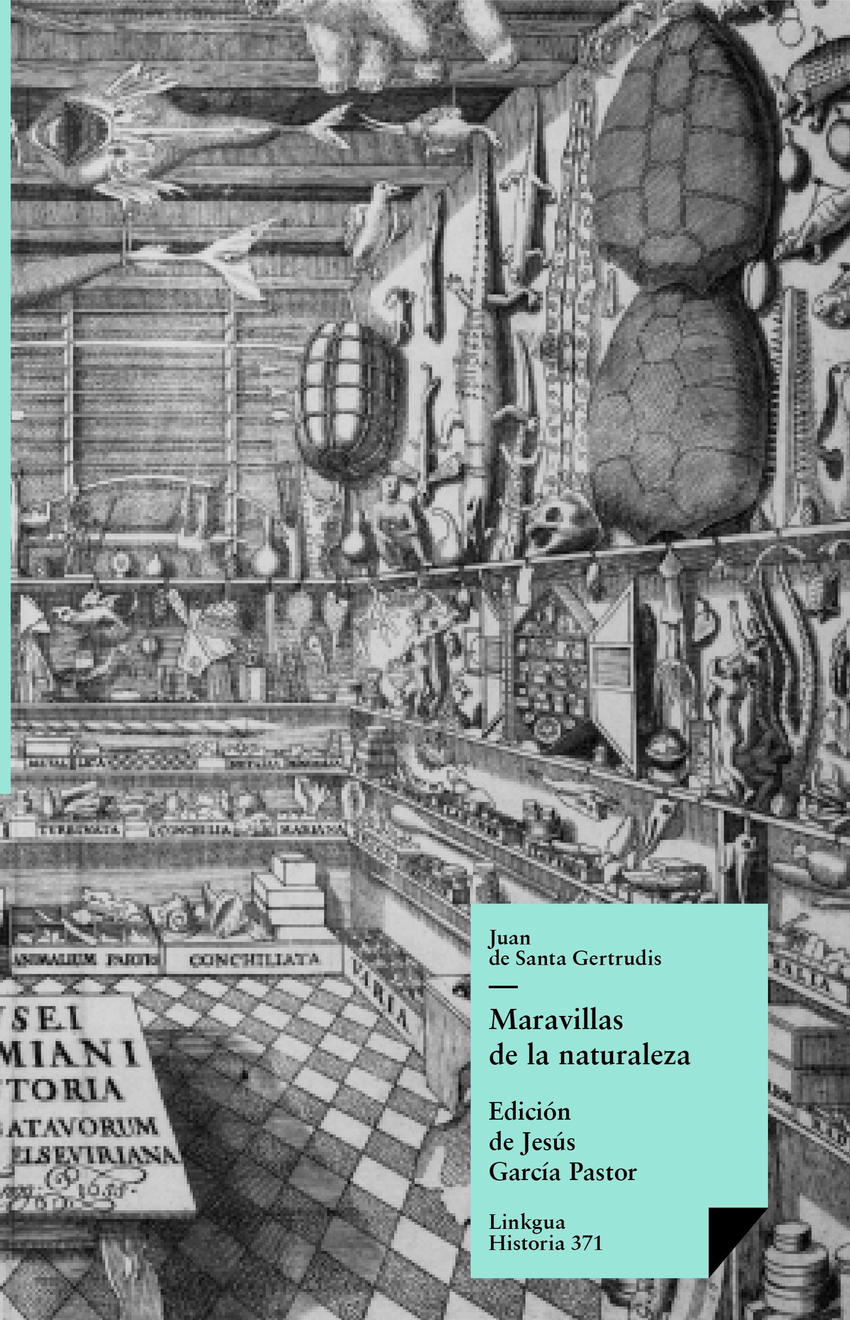 Portada, nº 9788410760349 — Juan de Santa Gertrudis