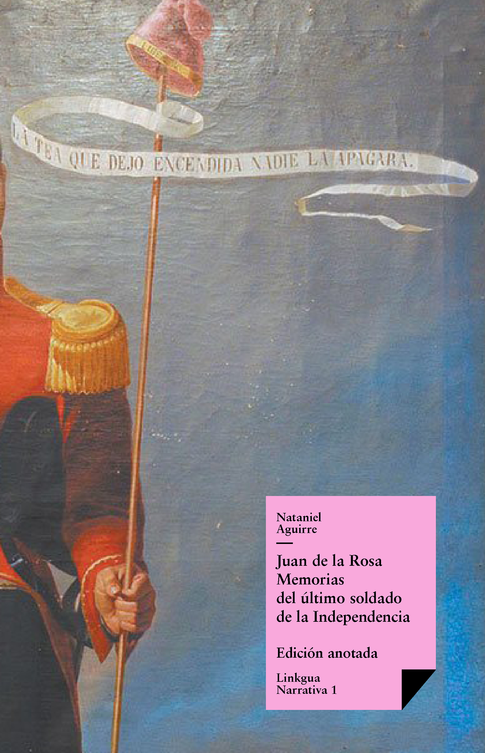 Juan de la Rosa — Nataniel Aguirre