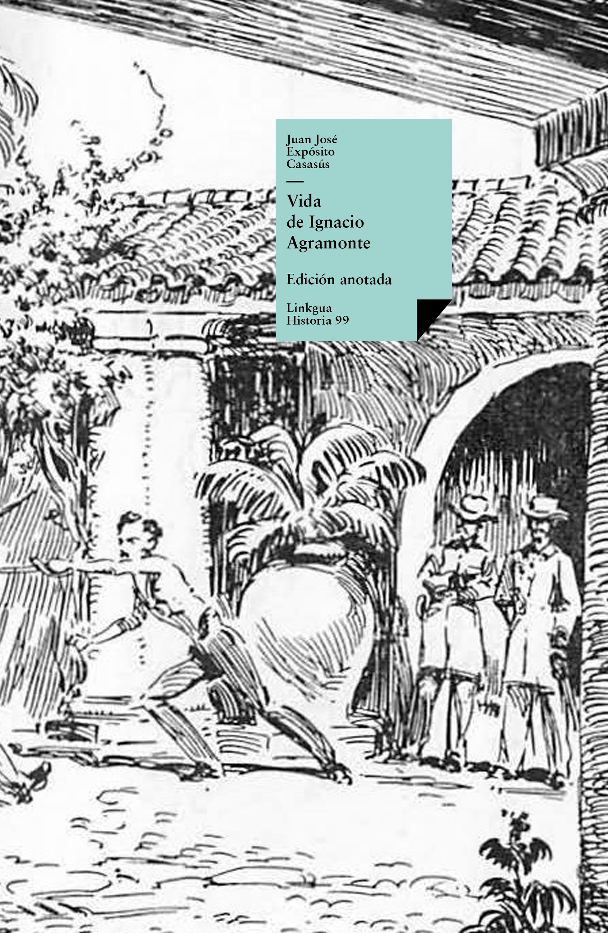 Vida de Ignacio Agramonte — Juan José Expósito Casasús