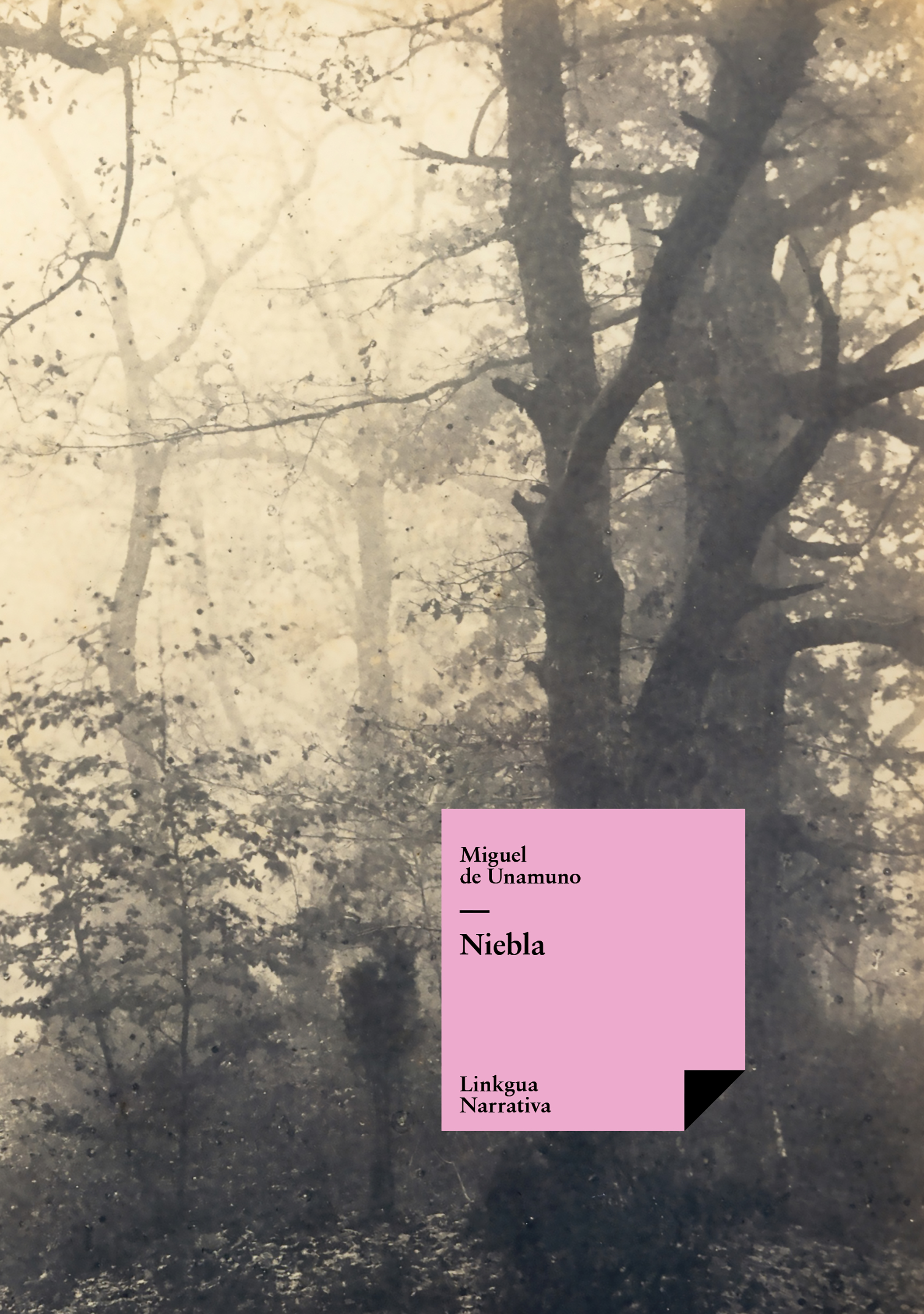 Niebla — Miguel de Unamuno