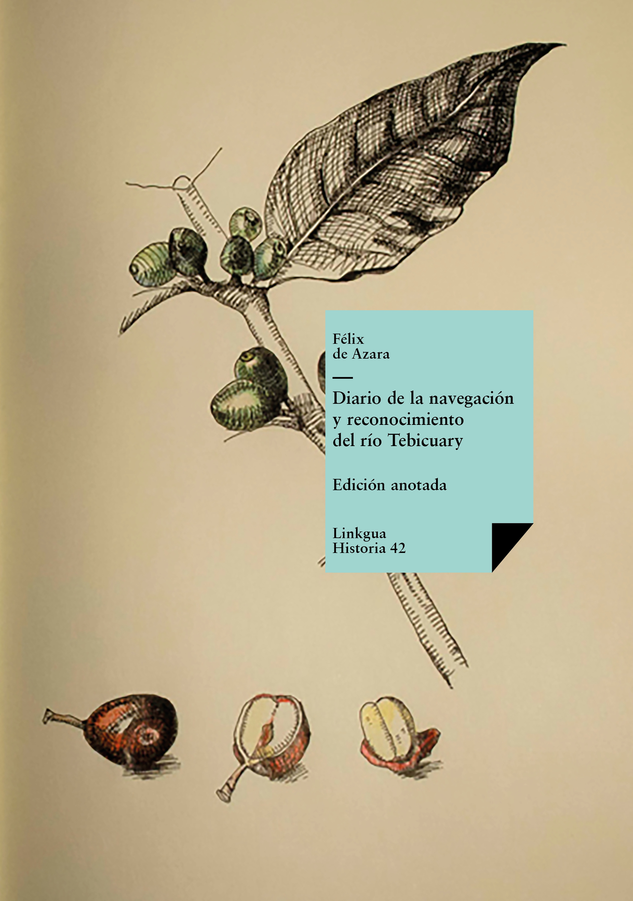Diario de la navegación y reconocimiento del río Tebicuary — Félix de Azara