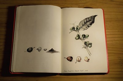 Portadas ilustrada — No identificado