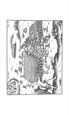 Candidate — Levinus Hulsius