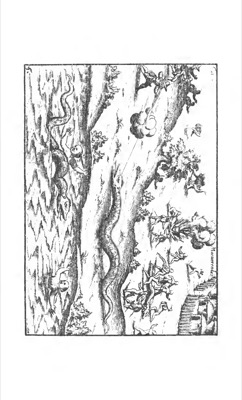 Candidate — Levinus Hulsius