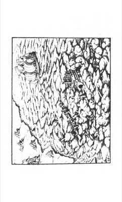 Candidate — Levinus Hulsius
