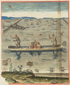 Escena de pesca y vida acuática en canoa — John White