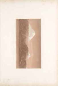 Vues des Cordillères — Humboldt, lámina — Viajeros naturalistas