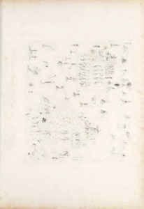 Vues des Cordillères — Humboldt, lámina — Viajeros naturalistas