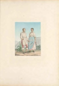 Vues des Cordillères — Humboldt, lámina — Viajeros naturalistas