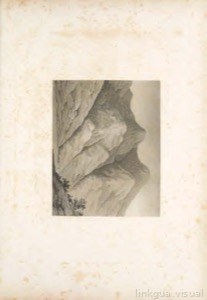 Estudio de rocas y vegetación